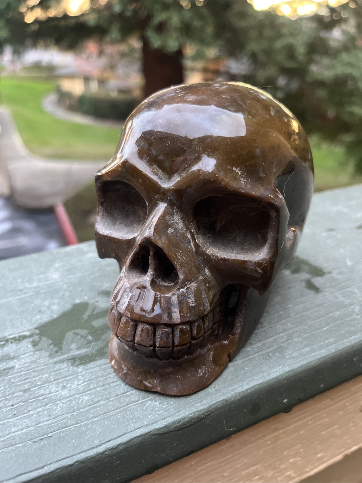 Super Rare Crystal Druzy Skull - 5inch 1.4 Lbs Super Rare Crystal Druzy Skull - 5inch 1.4 Lbs