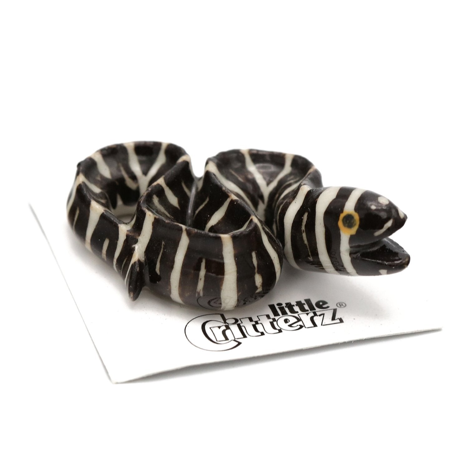 Little Critterz Fish - Zebra Moray Eel \
