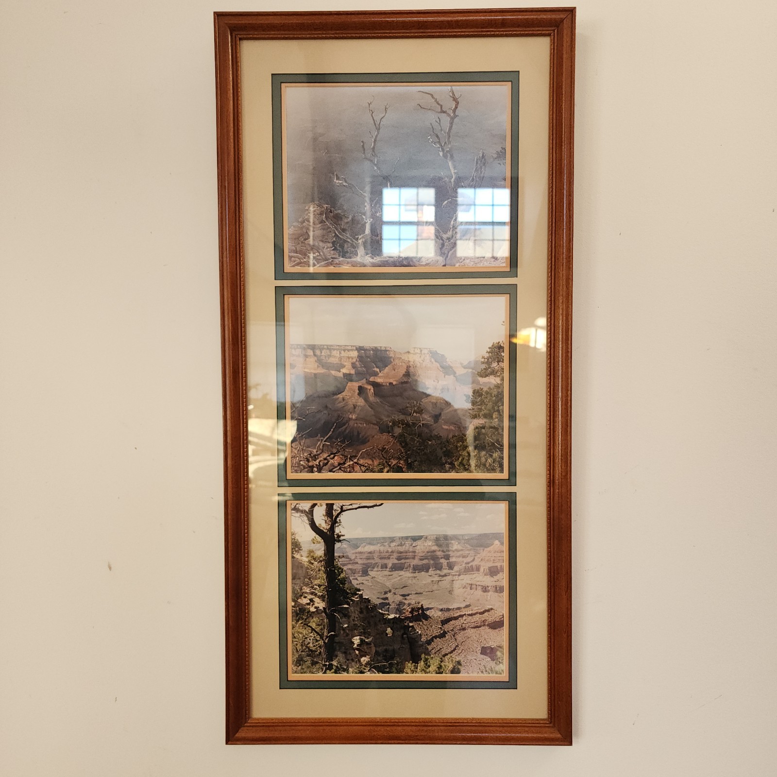 Nicely Framed Flower Photographs Signed By Artist A. LAURIE Titled HARMONY Nicely Framed Flower Photographs Signed By Artist A. LAURIE Titled HARMONY