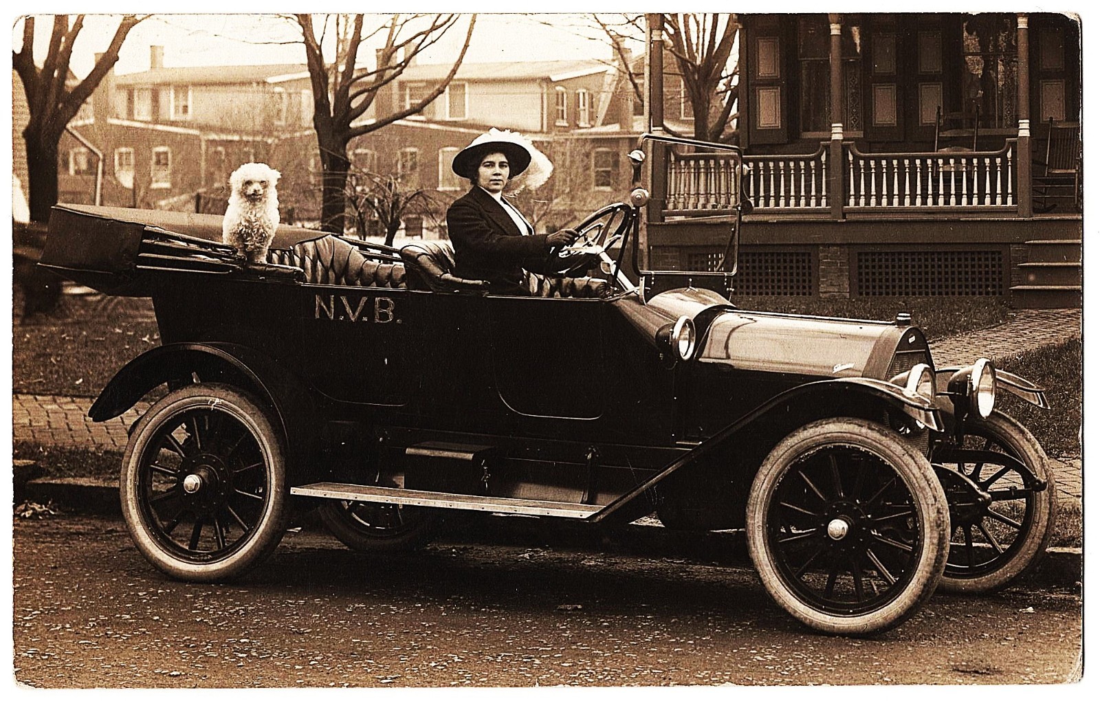 RPPC Woman Driving Fancy Convertible Car N. V. B. Poodle In Backseat antique pc