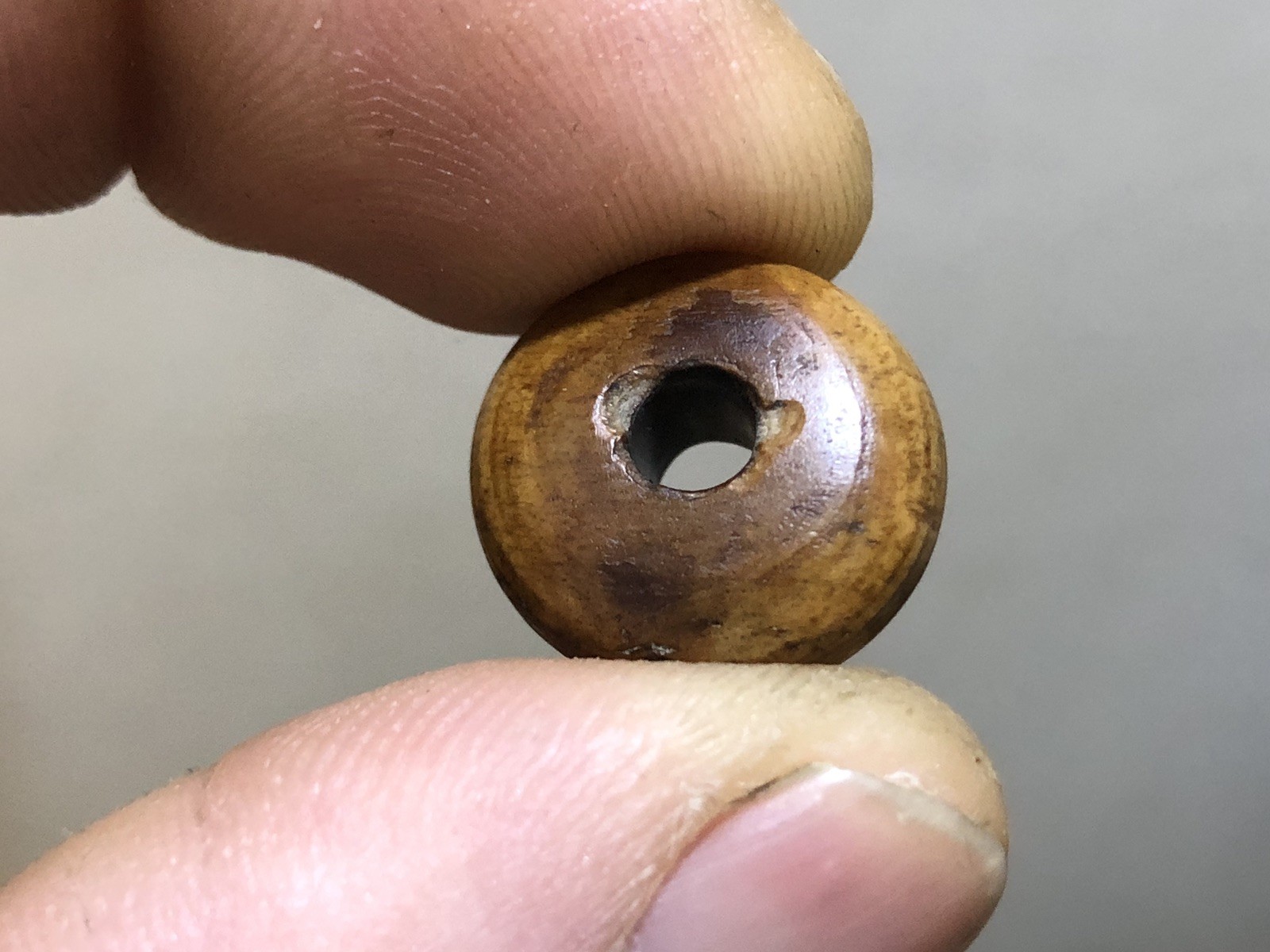 Antique VERY RARE Ancient Roman Stone Spindle Whorl / Bead. Petrified tree Antique VERY RARE Ancient Roman Stone Spindle Whorl / Bead. Petrified tree