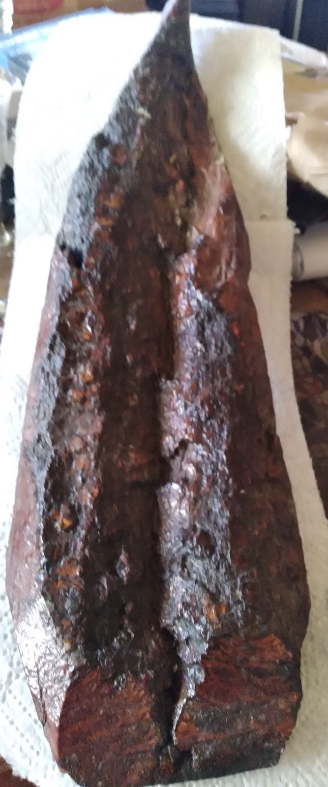 Rock Oak Tree Bark