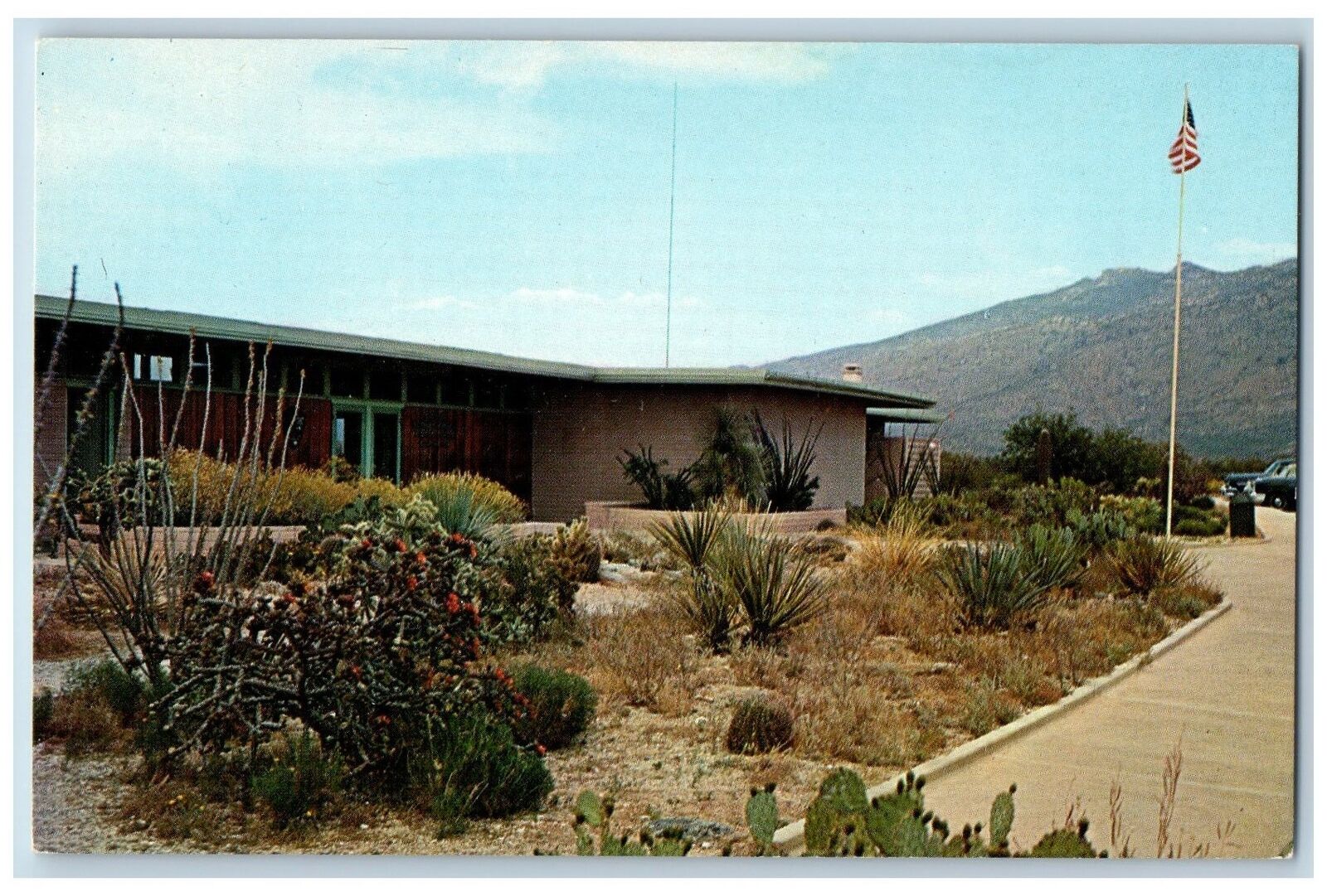 Tucson Arizona AZ Postcard Visitors Center Saguaro National Monument c1960s Flag