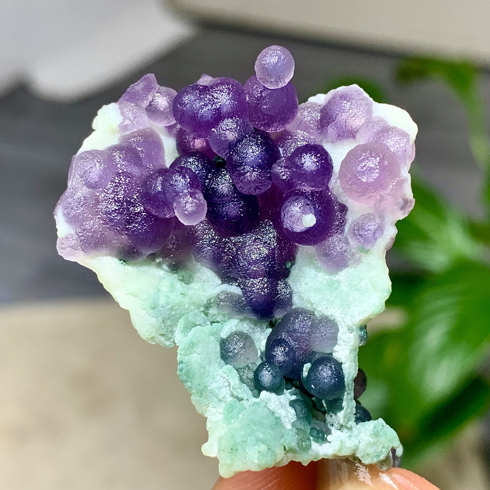 19G Natural purple grape agate quartz crystal granular mineral specime+