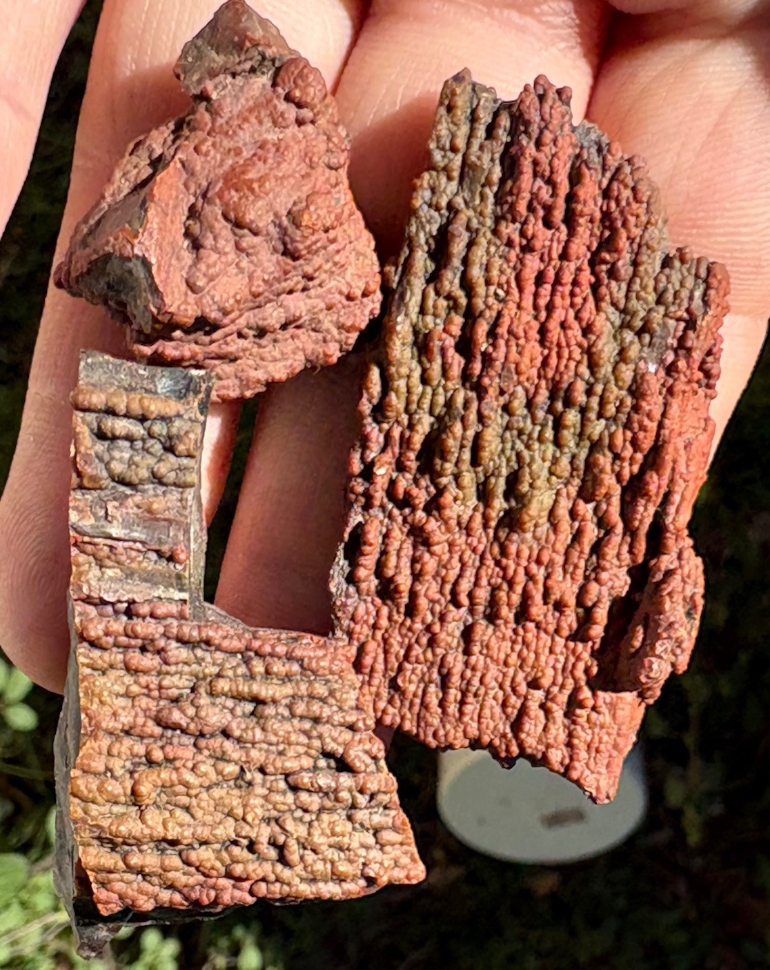 ☘️RR⛏️: 3 Unique PCS Arizona Petrified Wood W/Red/Green Druzy ☘️RR⛏️: 3 Unique PCS Arizona Petrified Wood W/Red/Green Druzy
