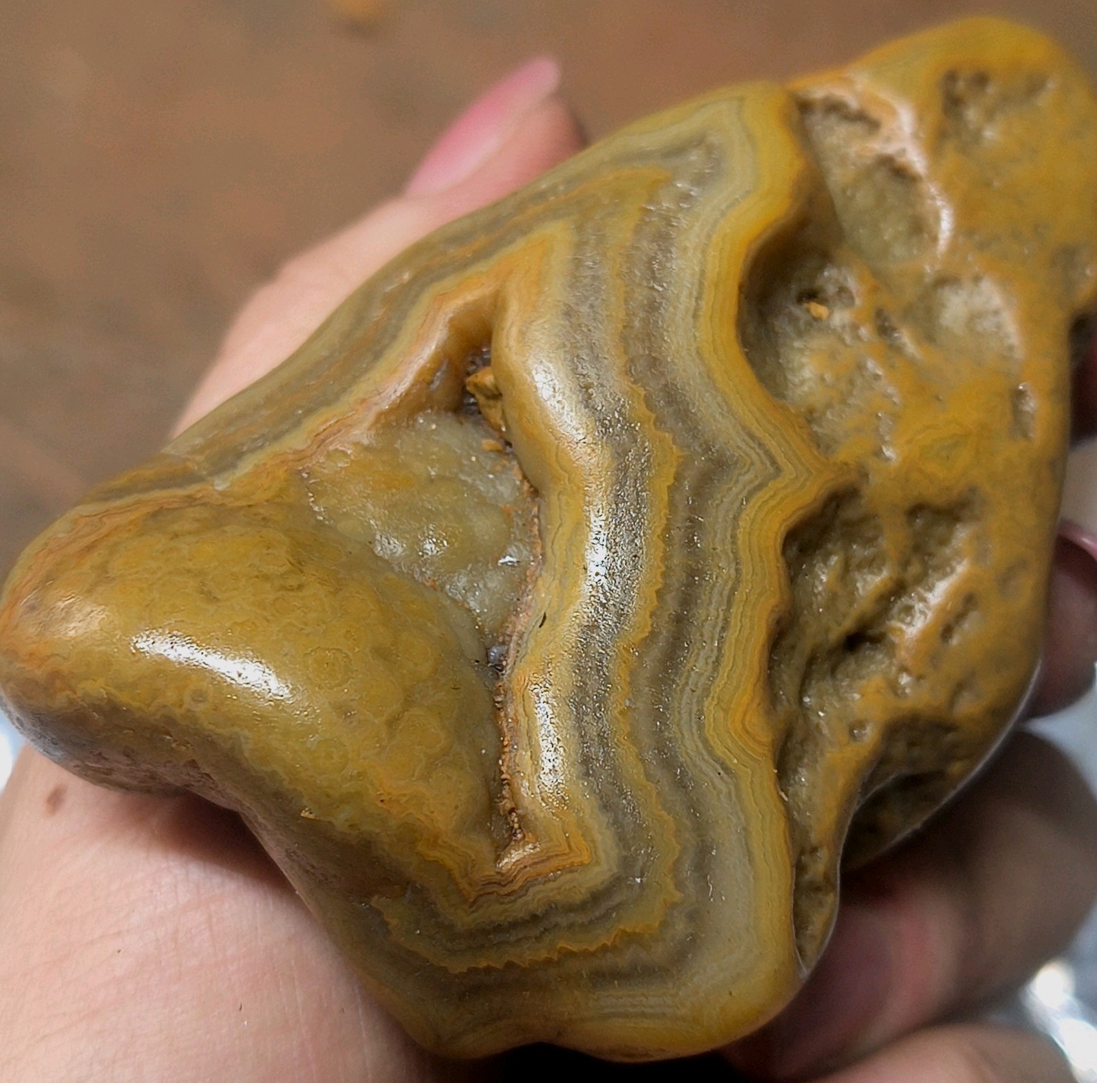 Amazing Natural Agate Rough Tennessee Crowley\'s Ridge Specimen Mineral Rock Amazing Natural Agate Rough Tennessee Crowley\'s Ridge Specimen Mineral Rock