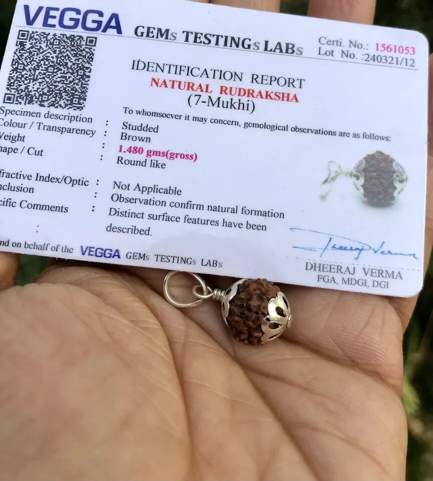 Lab Certified 925 Silver + 7 Mukhi RUDRAKSHA Rudraksh 7 Face Pendant, Original Lab Certified 925 Silver + 7 Mukhi RUDRAKSHA Rudraksh 7 Face Pendant, Original