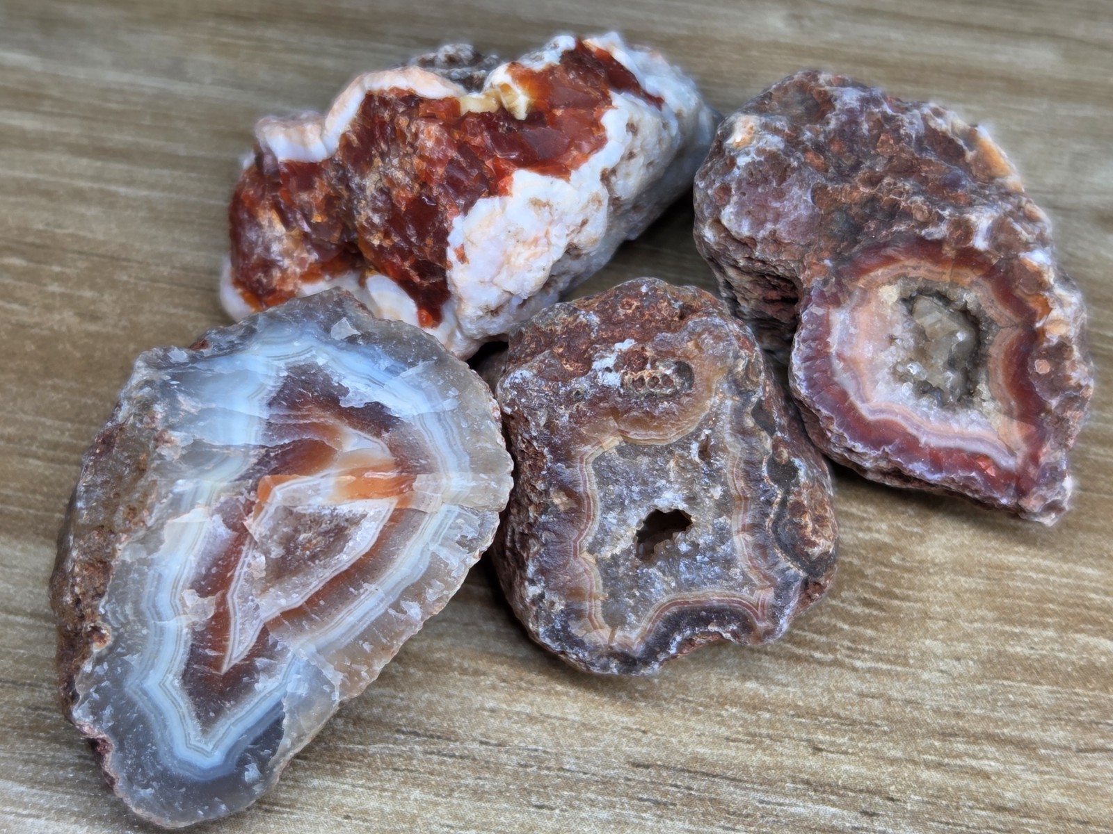 Rough Baby Malawi Agate Lot of 4/ Small Natural Banded Nodules