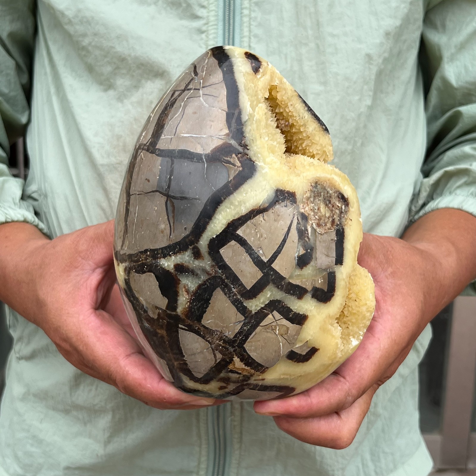 6.19LB Septarian Crystal Dragon Eye Stone Crystal Freeform Mineral Specimen