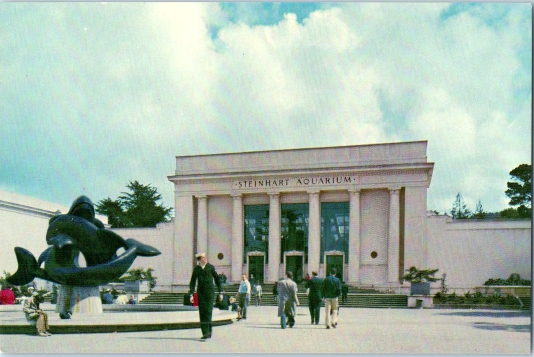 Vintage Postcard 1950\'s The Steinhart Aquarium, San Francisco, California ** Vintage Postcard 1950\'s The Steinhart Aquarium, San Francisco, California **