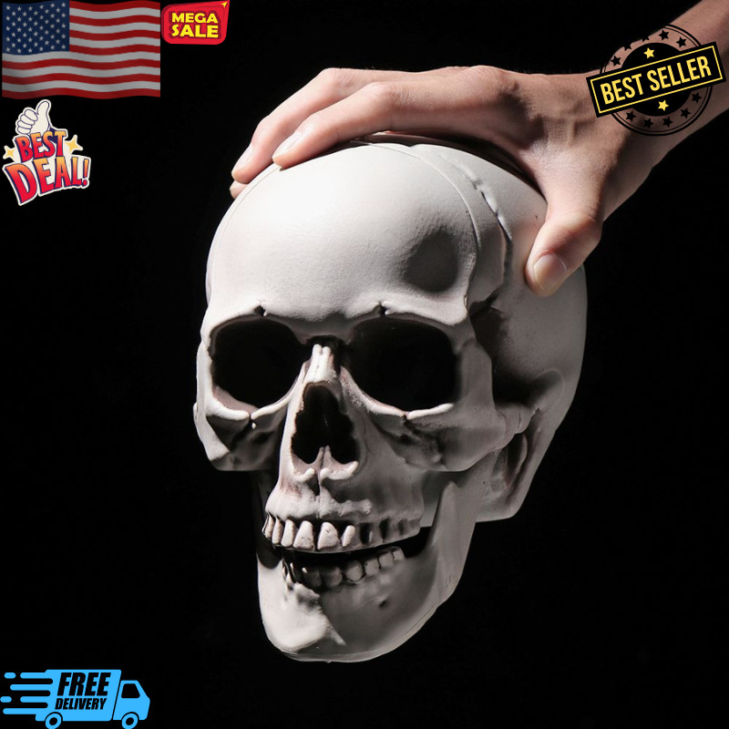 Halloween Skull Decoration,Realistic Plastic Skull,Head Skeleton,Halloween Party