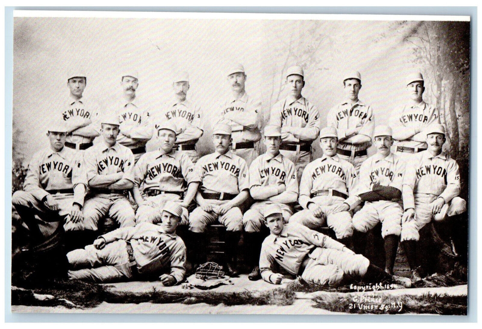 1894 New York Baseball Club Team G Prince Photograph Reprint Postcard