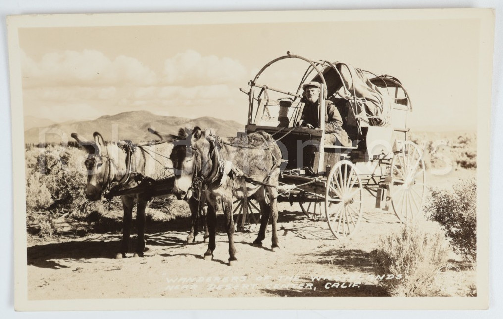 Vintage Desert Center CA California Covered Wagon Mules RPPC Real Photo Postcard