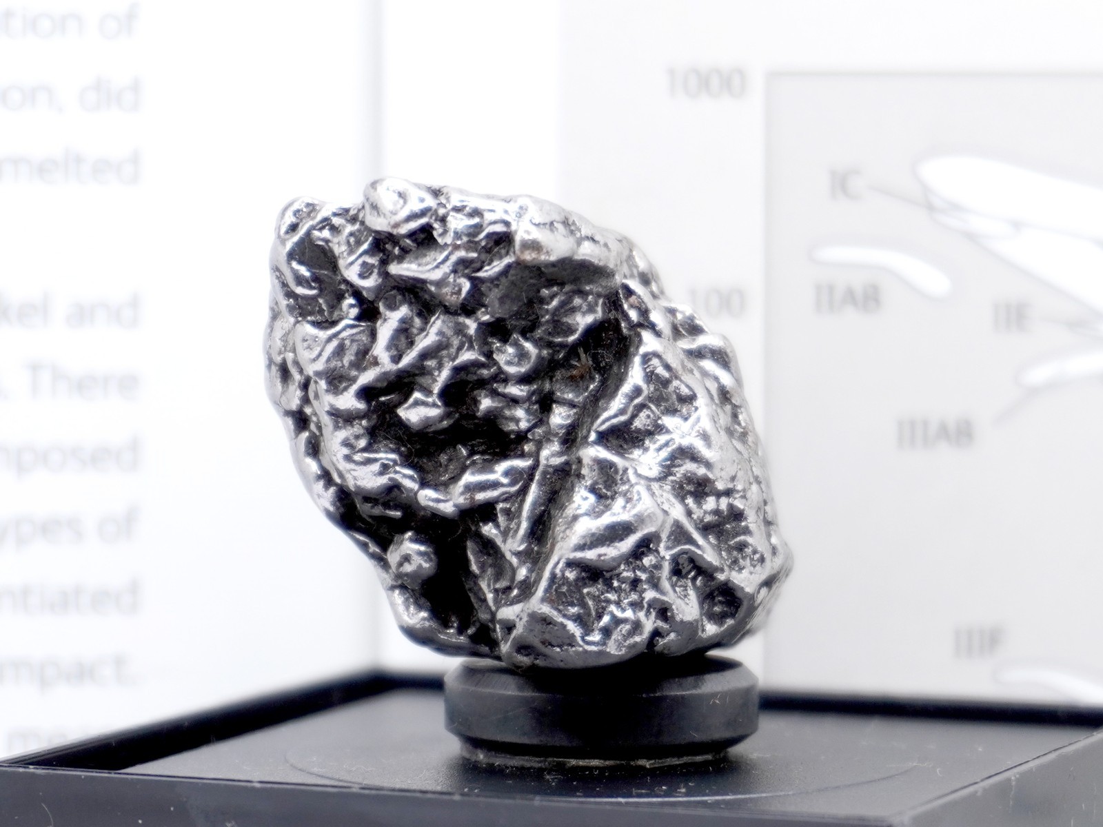 Authentic Campo del Cielo Meteorite | Certified Iron Space Rock from Argentina