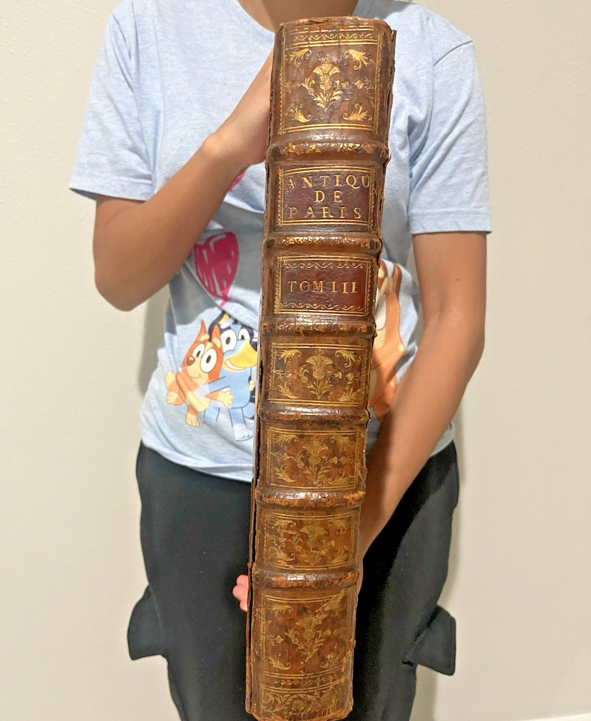 1750 HISTORY & ANTIQUITIES OF PARIS Henri Sauval Folio Illustrated Antique Book 1750 HISTORY & ANTIQUITIES OF PARIS Henri Sauval Folio Illustrated Antique Book