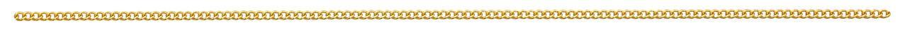 Gold Tone Stainless Endless Chain Size 27in Comes Carded