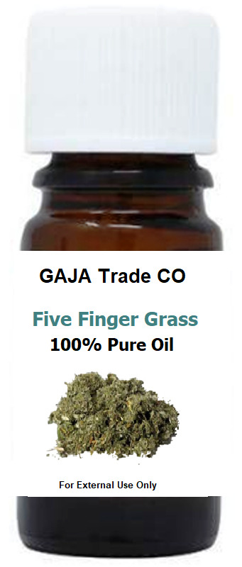 Five Finger Grass Oil 5mL Protection – Success Prosperity Love Luck (Sealed)