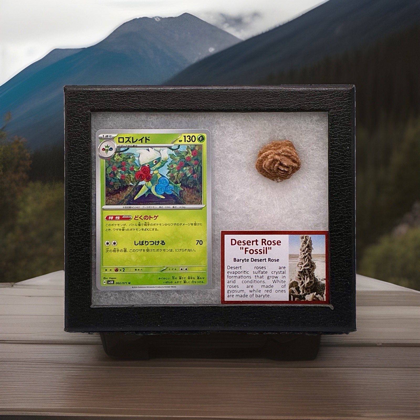Roserade Pokémon Card With Authentic Desert Rose Fossil (Baryte) In Display Box Roserade Pokémon Card With Authentic Desert Rose Fossil (Baryte) In Display Box