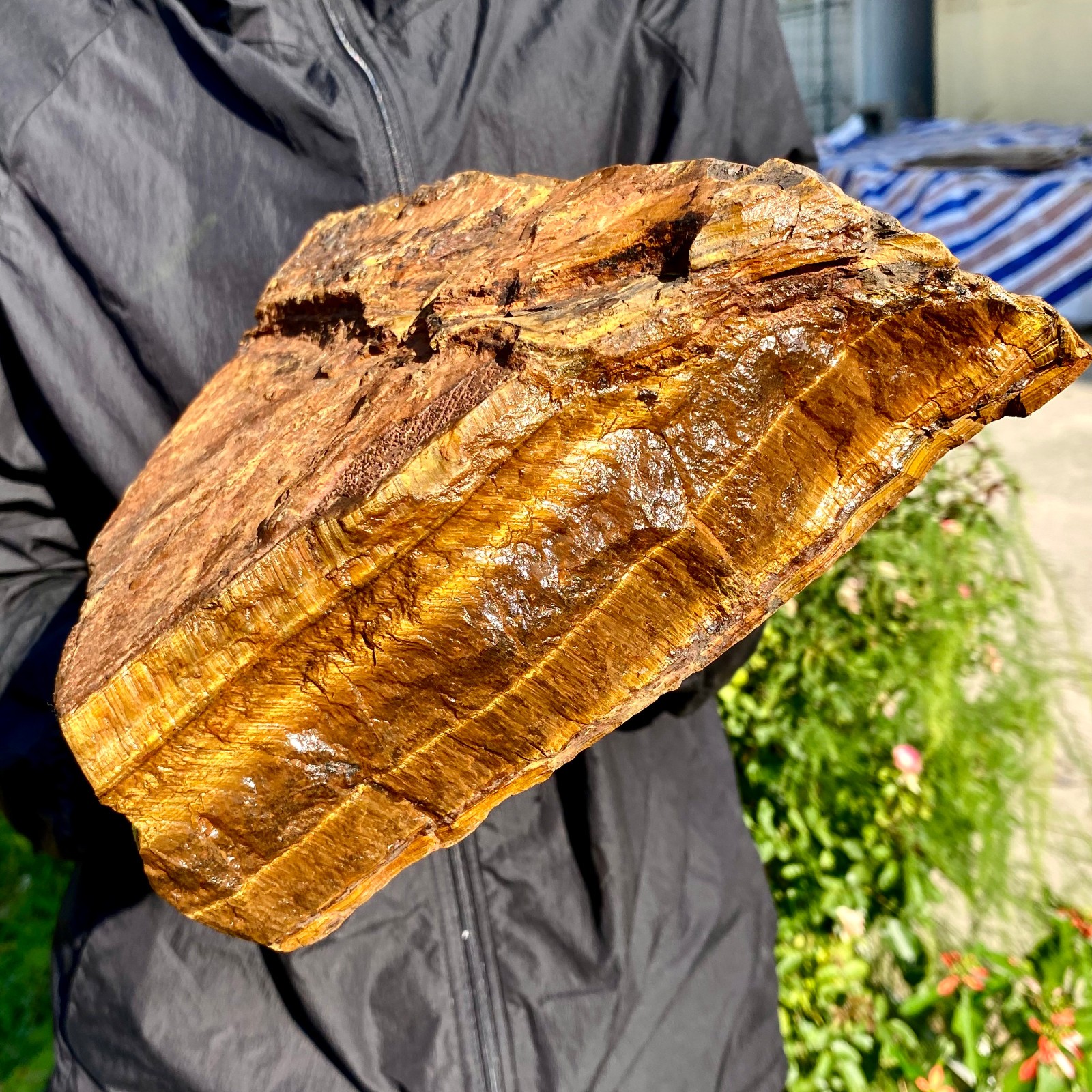 12.43LB Natural tiger\'s Eye rough raw stone rock specimrn madagescar