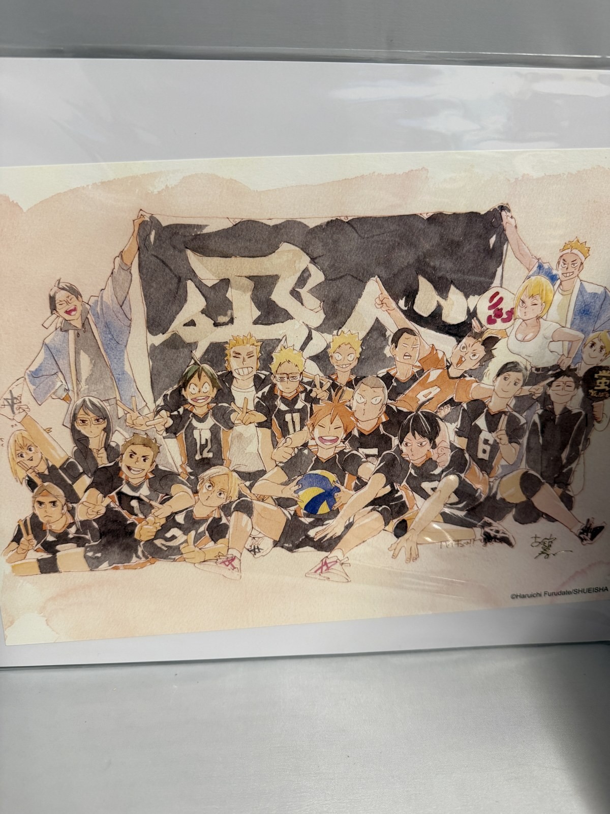 Haikyu VIZ Anime NYC 2026 Exclusive Art Print Karasuno Furudate Convention
