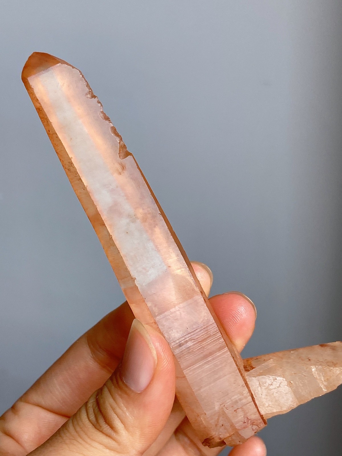 Lemurian Laser Wand Quartz Specimen, Transparent Iron-Stained Natural Crystal