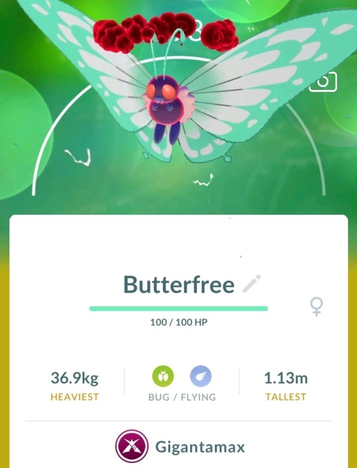 🪲🪽 Gigantamax Butterfree Trade 🔄 - Pokémon Go 🪲🪽 Gigantamax Butterfree Trade 🔄 - Pokémon Go