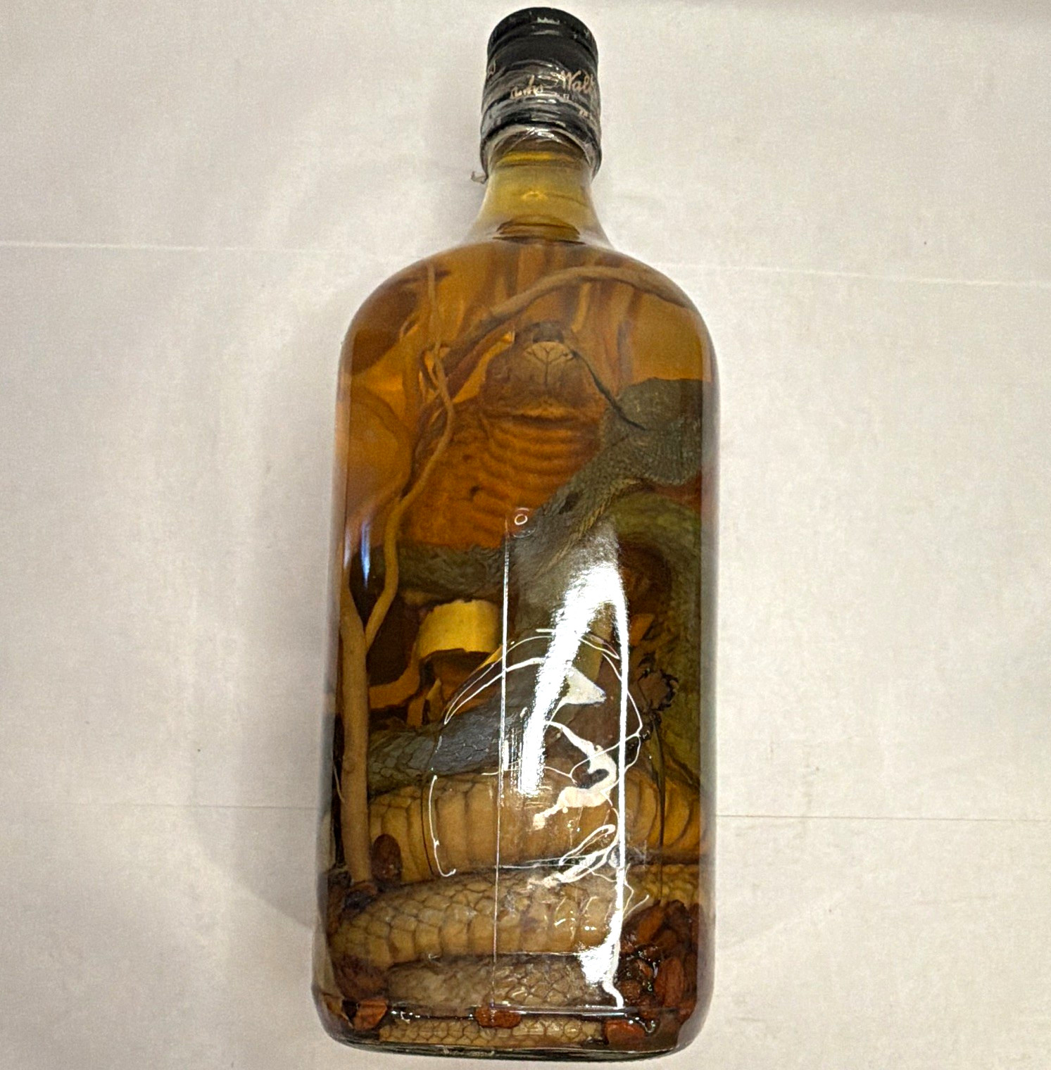 Vintage Style Snake Specimen Display Bottle – Preserved Snake in Amber Liquid Vintage Style Snake Specimen Display Bottle – Preserved Snake in Amber Liquid