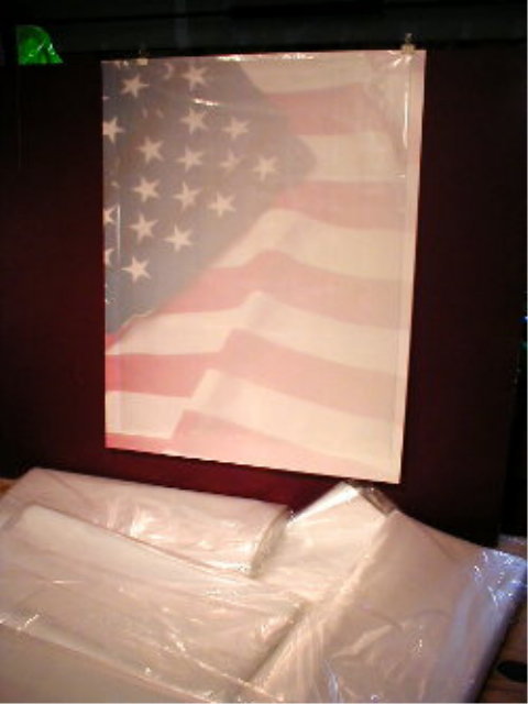 Plastic Bags for Old Brochures,Pamphlets,Maps Storage Sleeves 4