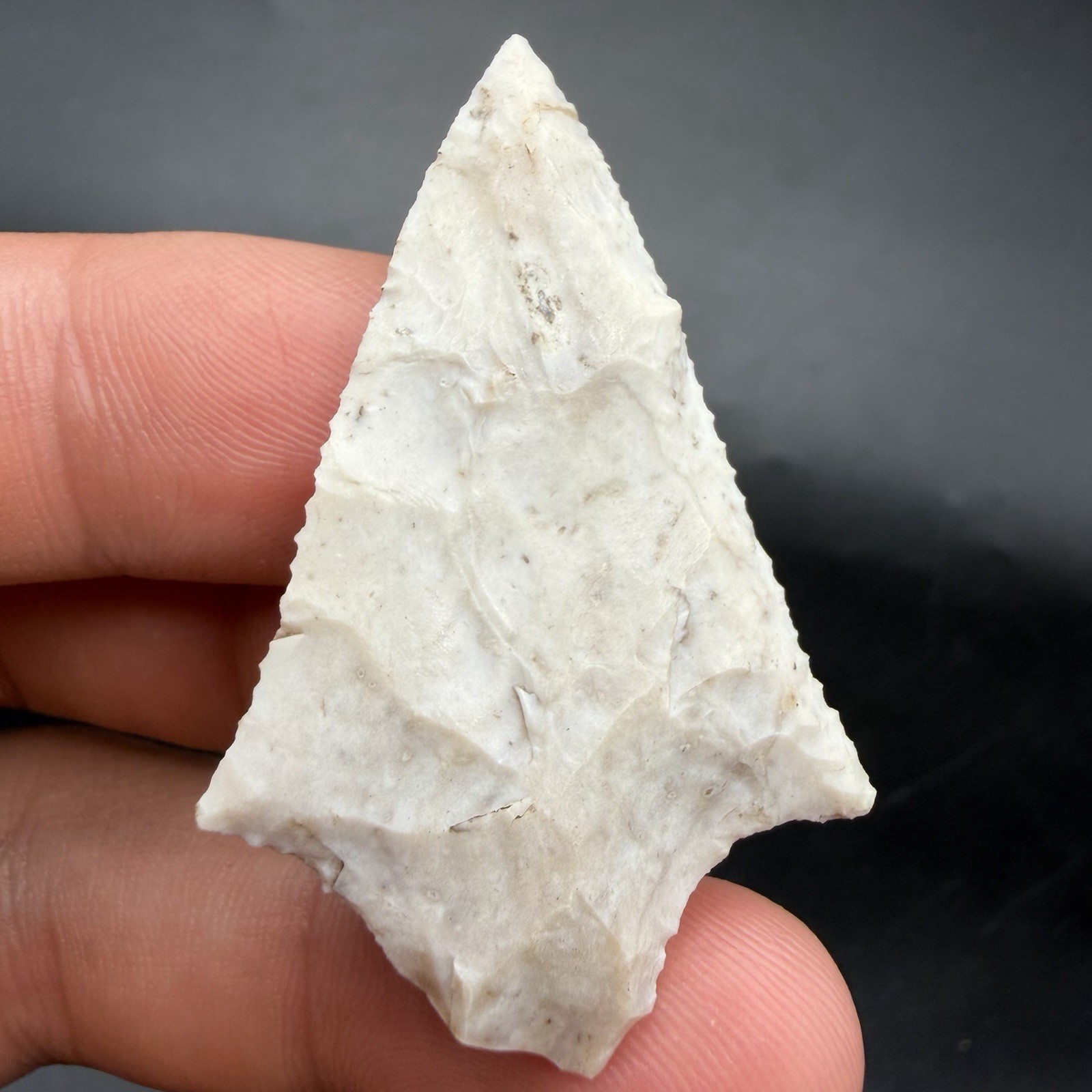 Very Fine Serrated Florida Arrowhead 1.92” Very Fine Serrated Florida Arrowhead 1.92”