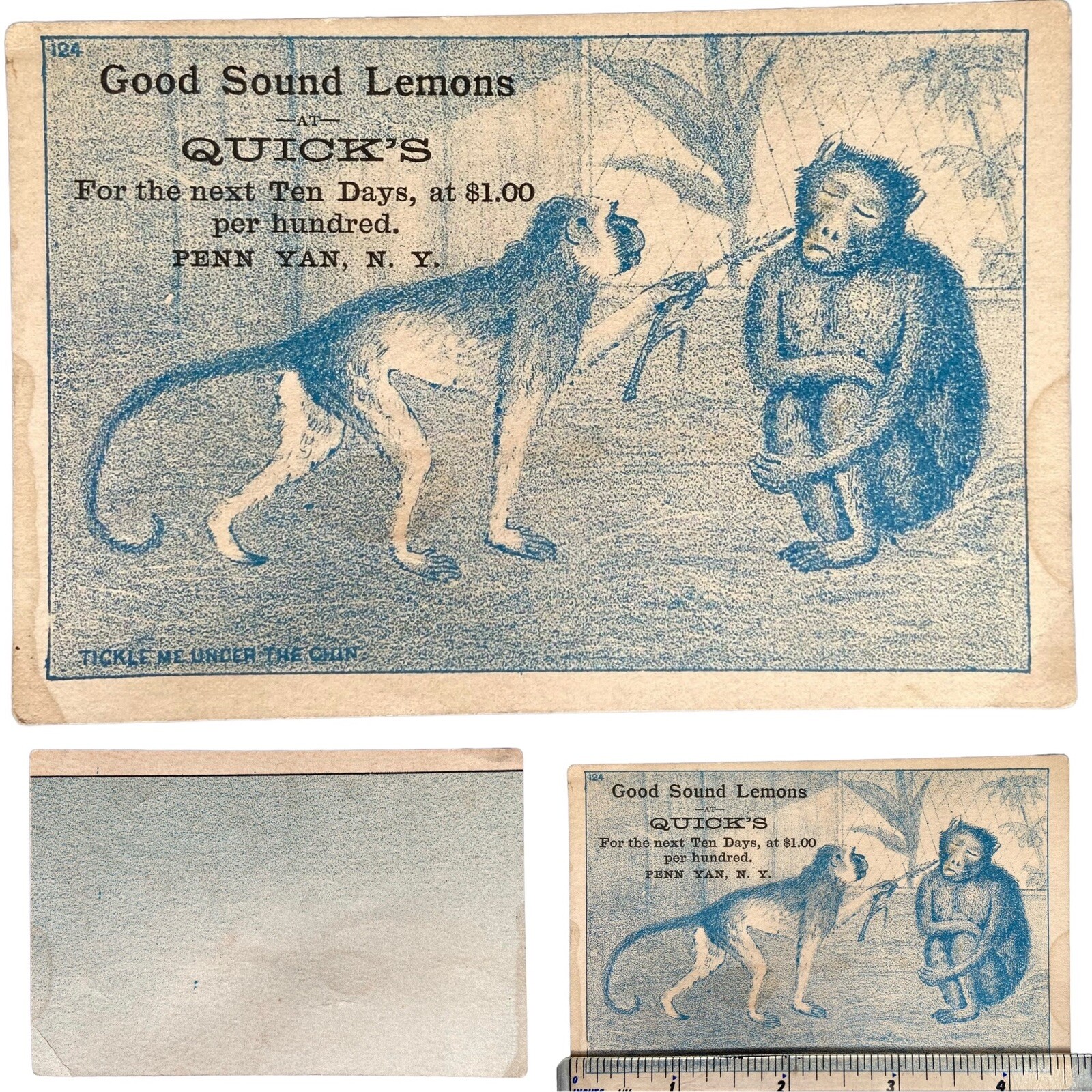 Vintage Ad Trade Card C.B. Quick Quick's Good Sound Lemons Monkey Penn Yan NY
