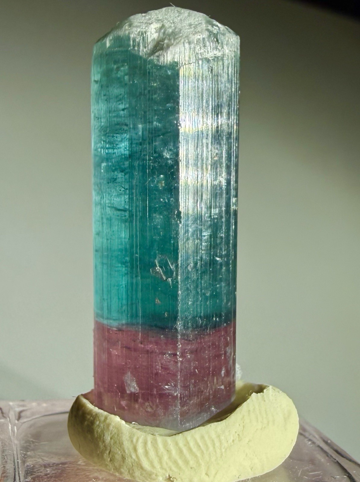 Large Pricey Beautiful Blue Pink Tourmaline Crystal Raw Rough Natural Specimen Large Pricey Beautiful Blue Pink Tourmaline Crystal Raw Rough Natural Specimen