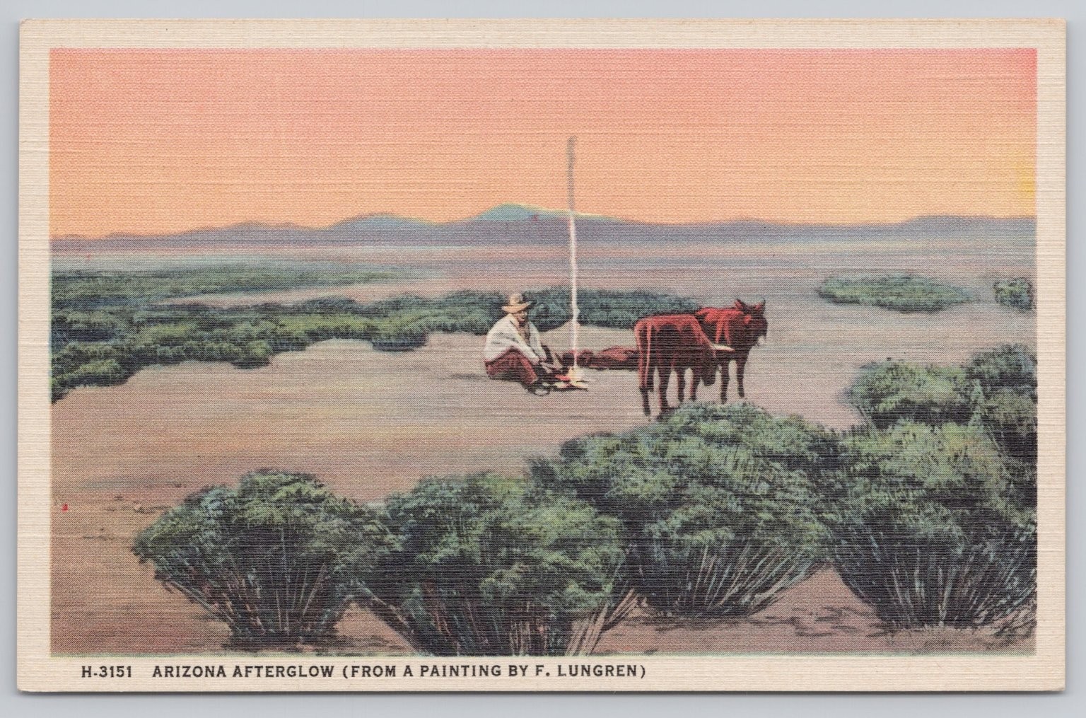 Vintage Fred Harvey ARIZONA AFTERGLOW Desert Sunset F. Lungren Linen Postcard Vintage Fred Harvey ARIZONA AFTERGLOW Desert Sunset F. Lungren Linen Postcard