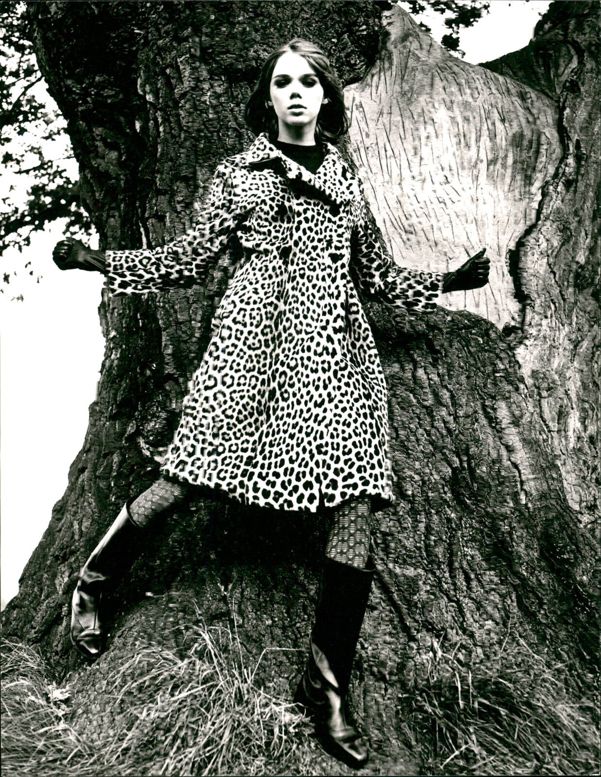 Coat of Somalile Leopard for 1960s Fashion - Vintage Photograph 2600793