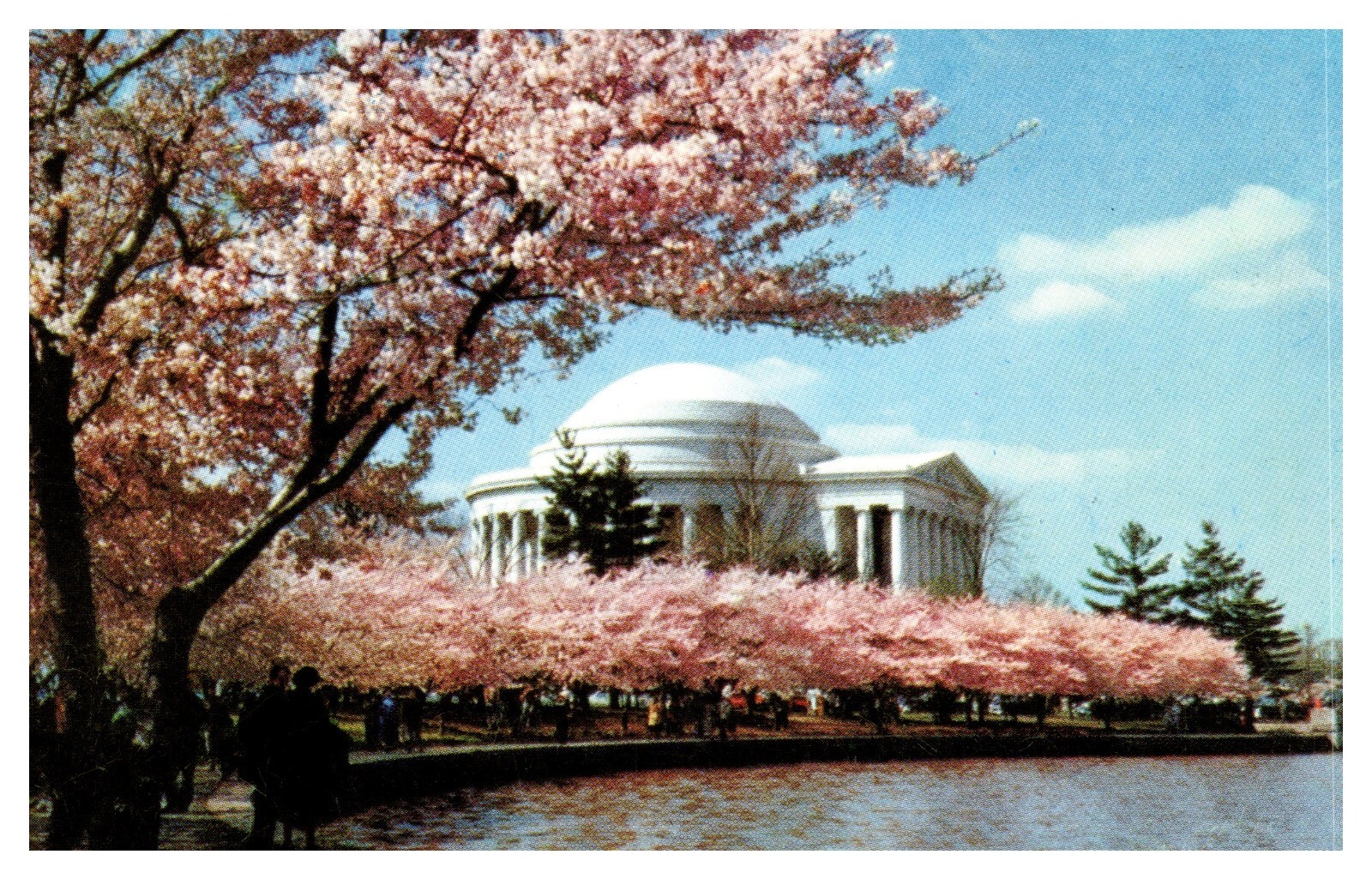 postcard Jefferson Memorial Washington D. C. 8598 postcard Jefferson Memorial Washington D. C. 8598