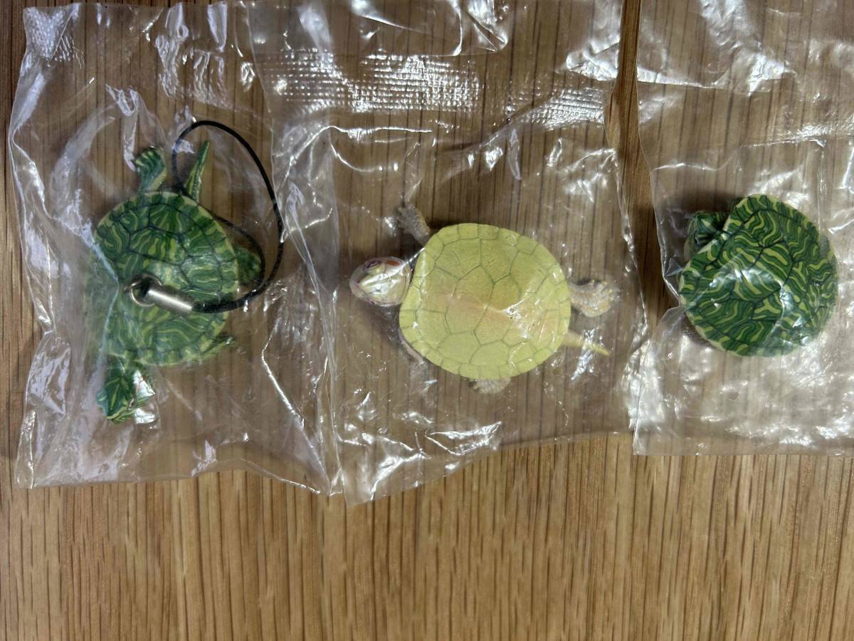 New unopened Green Turtle Strap Magnet Total 3 types Nature