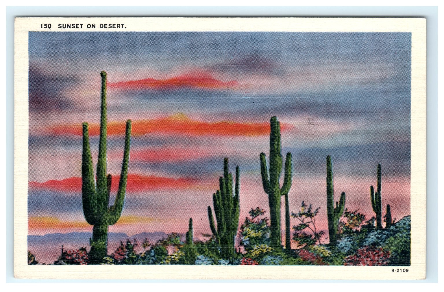 Vintage Sunset ON Desert Saguaro Cactus Western Country Postcard Herz Vintage Sunset ON Desert Saguaro Cactus Western Country Postcard Herz