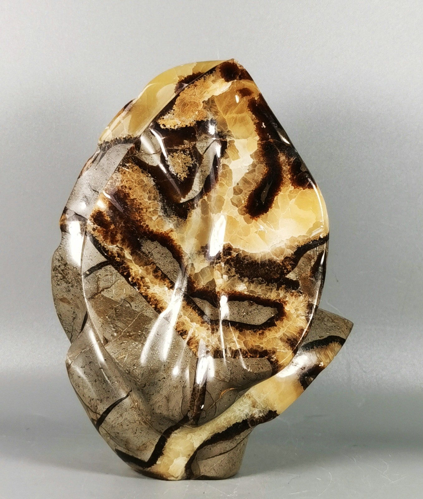A  2LB Carving ！Natural Rare Polished DRAGON SEPTARIAN GEODE Madagascar