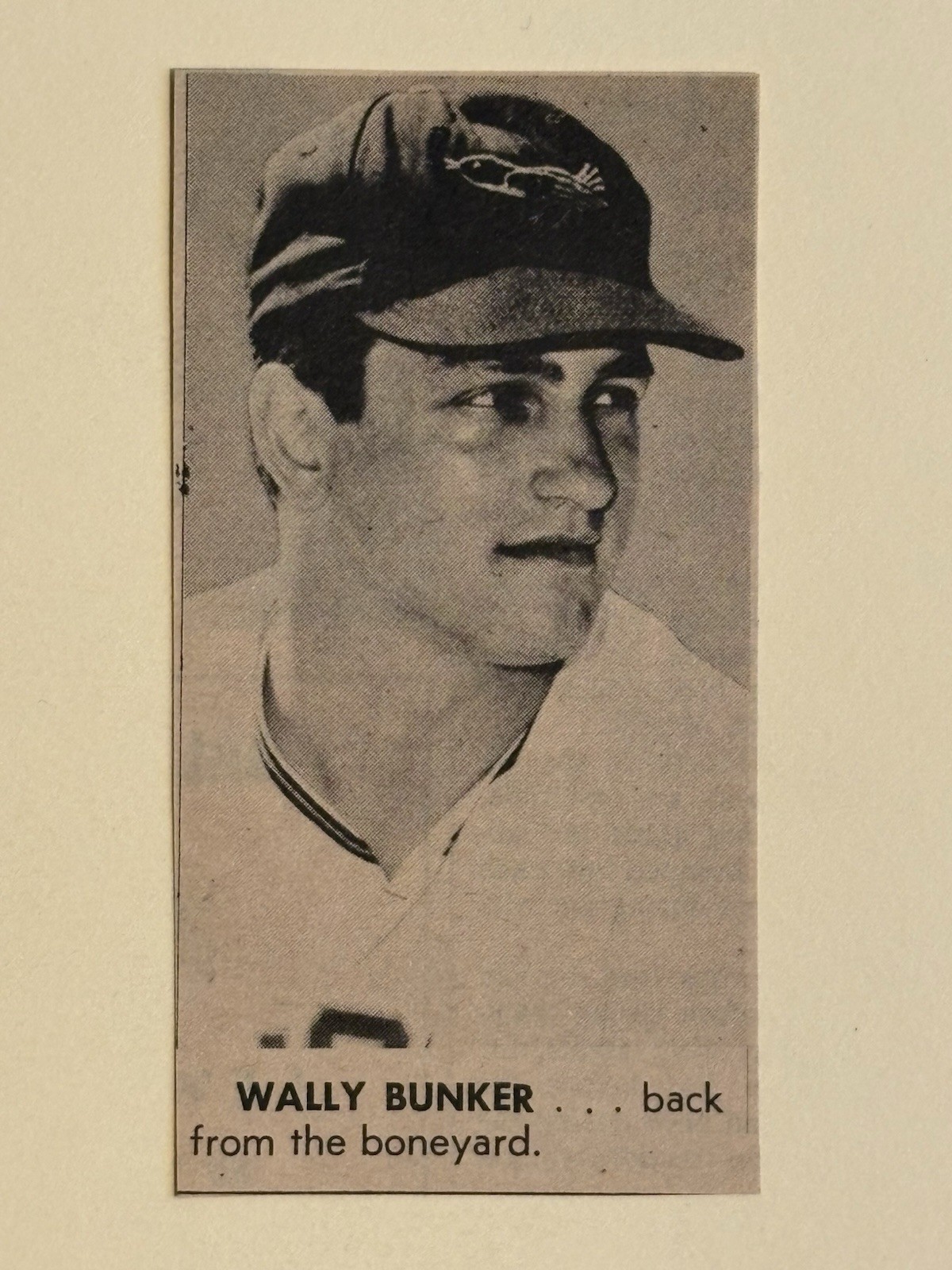 Wally Bunker Baltimore Orioles 1968 Sporting News Baseball 2X4 Panel Wally Bunker Baltimore Orioles 1968 Sporting News Baseball 2X4 Panel
