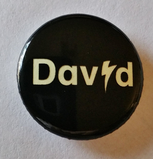 DAVID BOWIE Pinback MCA Chicago Exhibit Bowie Is Vintage Badge Button Official 