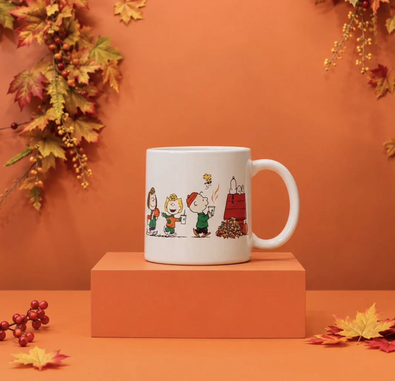 Brand New Starbucks x Peanuts Fall 2026 Ceramic Mug – 14oz Brand New Starbucks x Peanuts Fall 2026 Ceramic Mug – 14oz