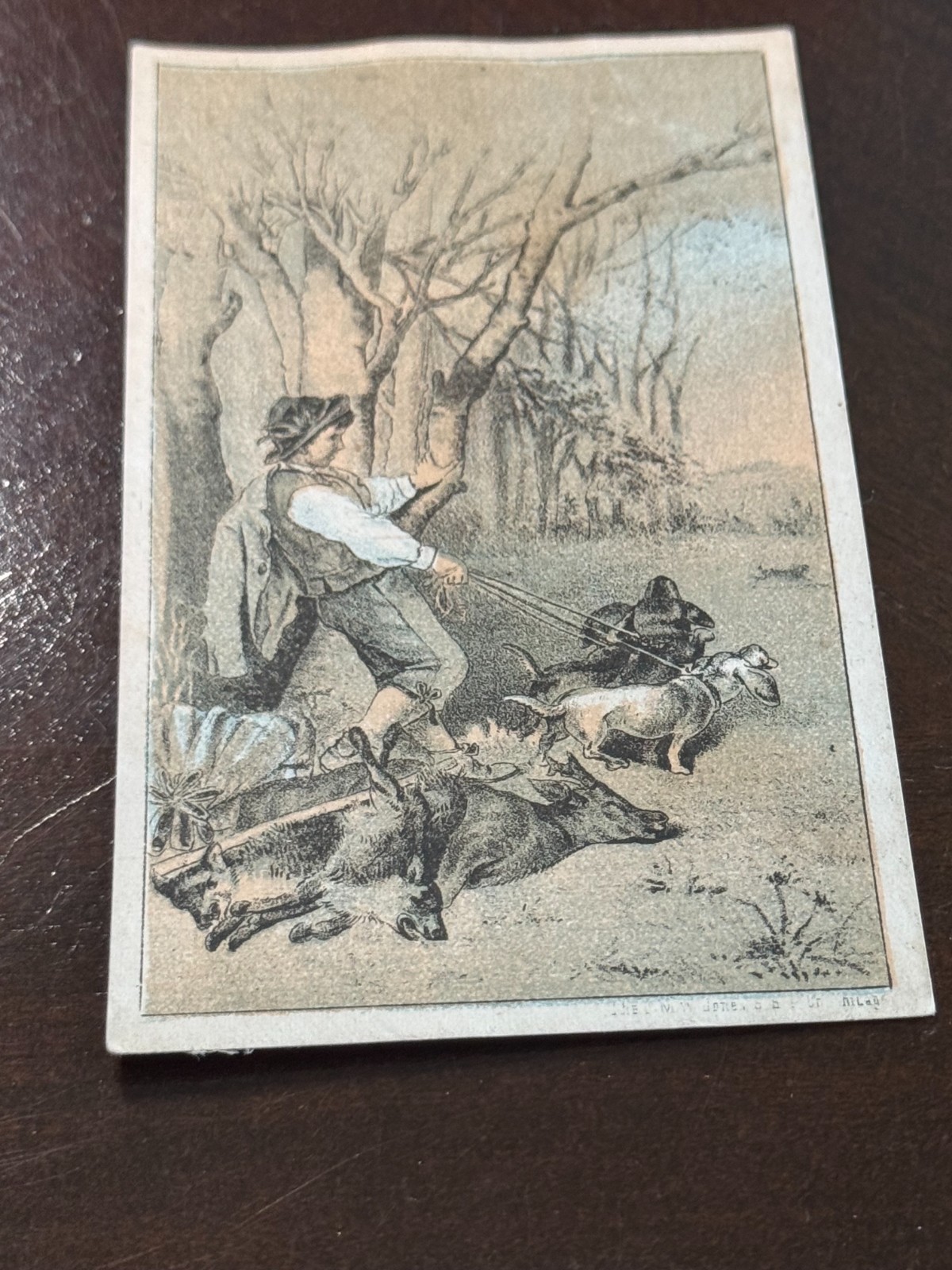 B-319 Vintage 1880\'s DAVIS VERTICAL FEED SEWING MACHINE Boy with dogs B-319 Vintage 1880\'s DAVIS VERTICAL FEED SEWING MACHINE Boy with dogs