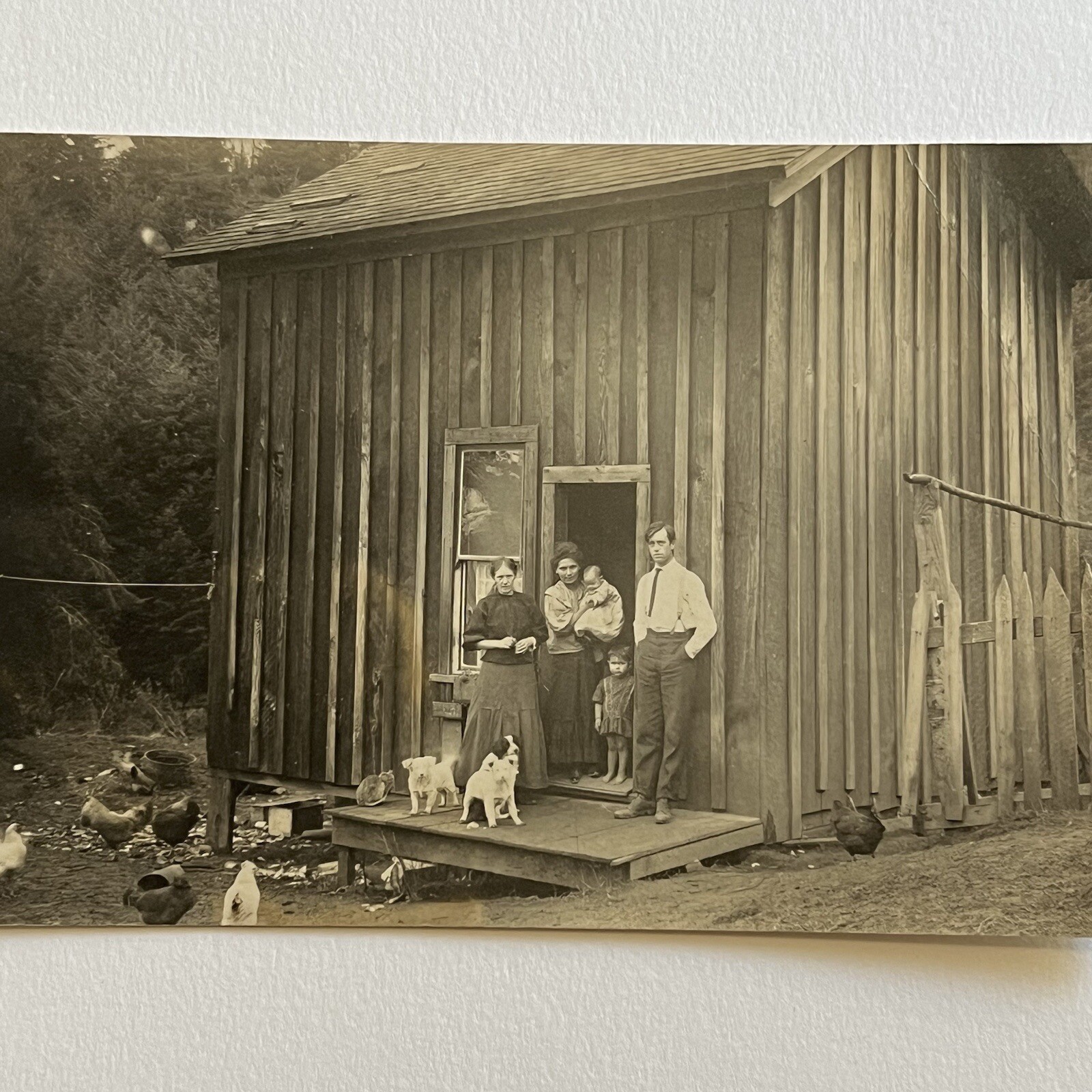 Antique RPPC Real Photograph Postcard Homestead Everyday Life Family Poverty Dog Antique RPPC Real Photograph Postcard Homestead Everyday Life Family Poverty Dog