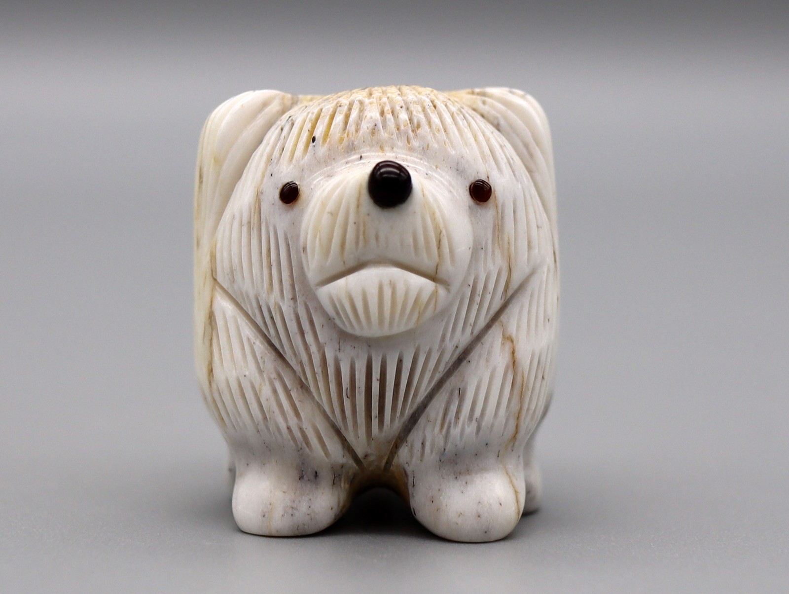 Ray Tsalate Antler Zuni Havanese or Maltese Toy Dog Fetish Ray Tsalate Antler Zuni Havanese or Maltese Toy Dog Fetish