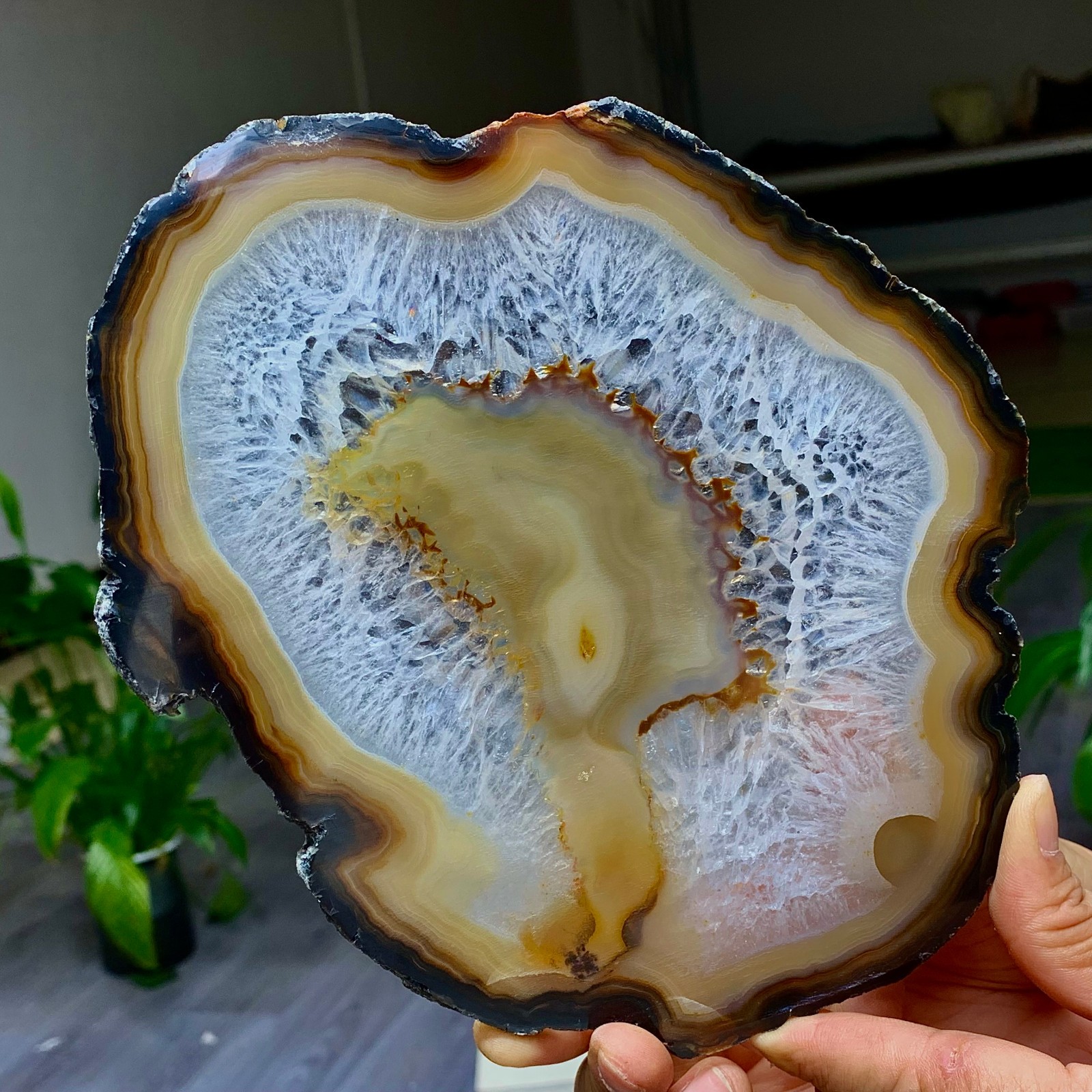 283G Natural Beautiful Agate Geode Druzy quartz crystal mineral healing