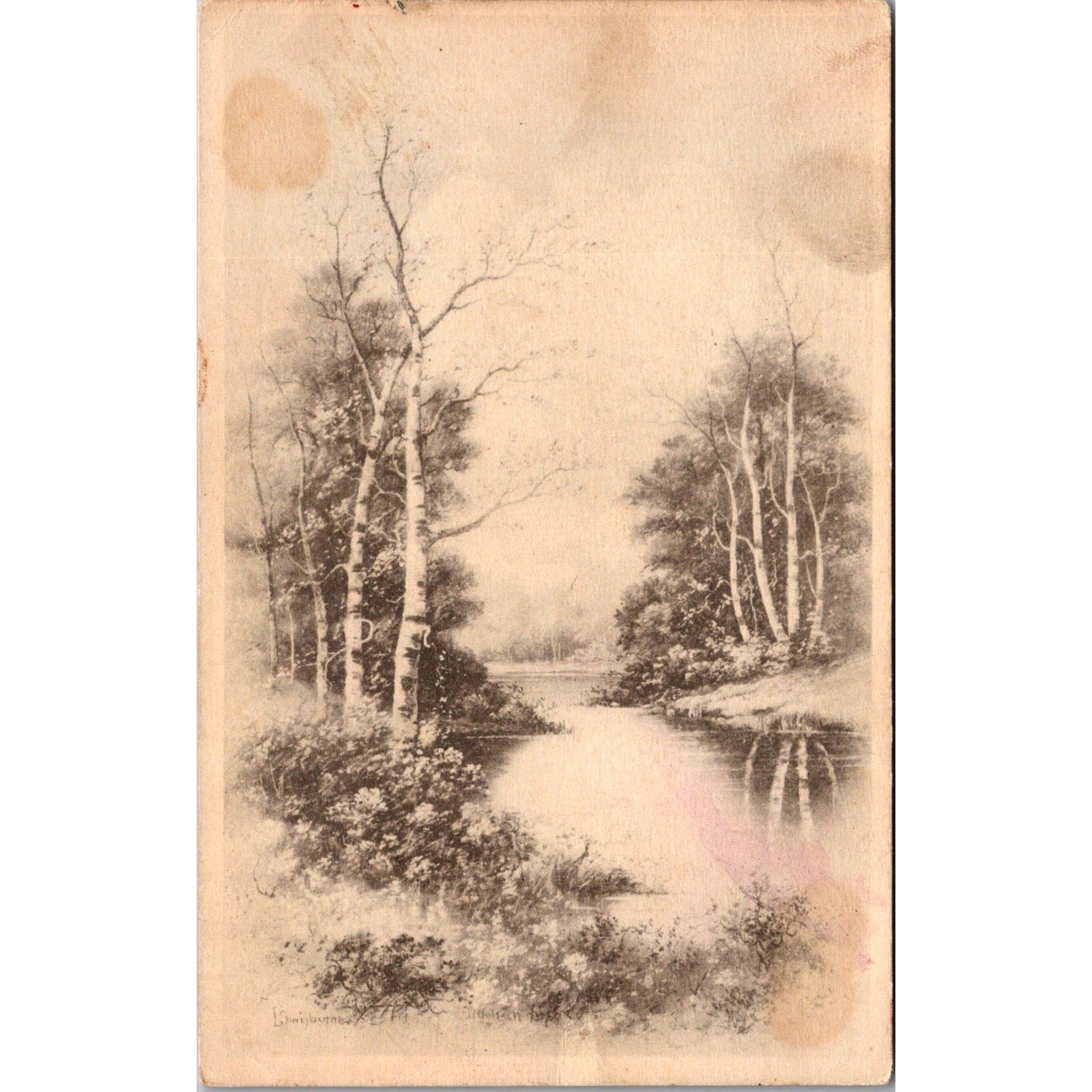 Silver Birches by Artist Don Swann Vintage Postcard SPN25 Silver Birches by Artist Don Swann Vintage Postcard SPN25