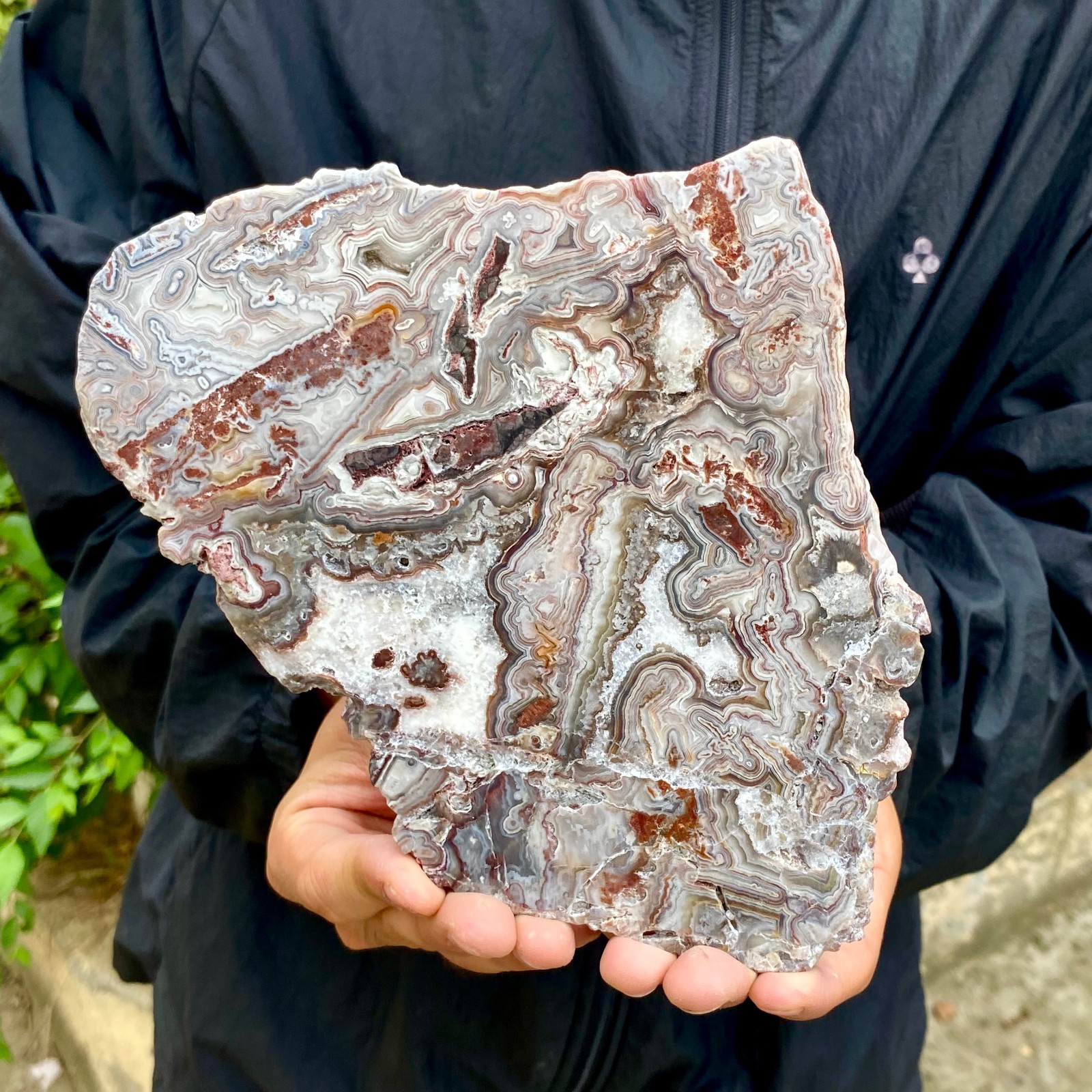 1.29LB Natural Crazy Lace Agate Slice Polished Rough Mineral Specimen Crystal Ho