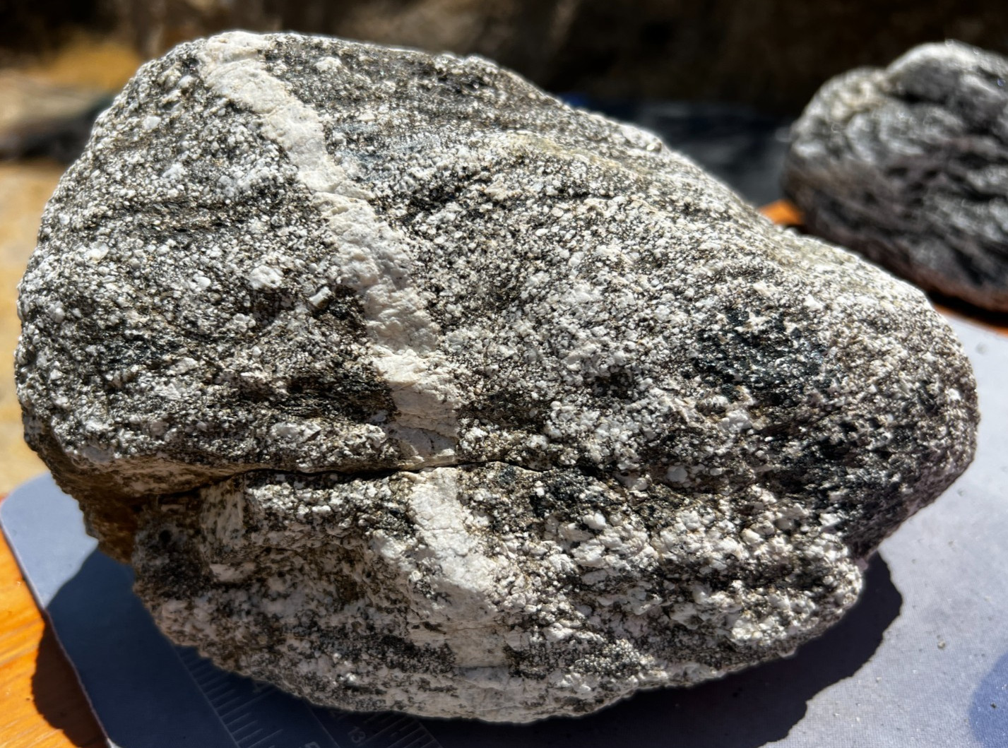 19lbs Granodiorite Boulder Quartz Filled White Stripe Pinto Mountain 19lbs Granodiorite Boulder Quartz Filled White Stripe Pinto Mountain