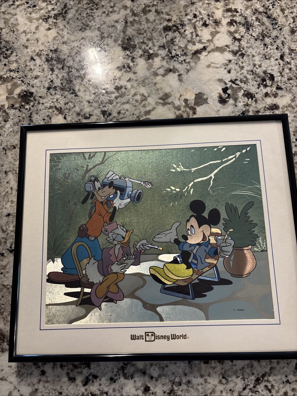 Walt Disney World Art “Goofy, Daisy And Mickey” Custome Framed Walt Disney World Art “Goofy, Daisy And Mickey” Custome Framed
