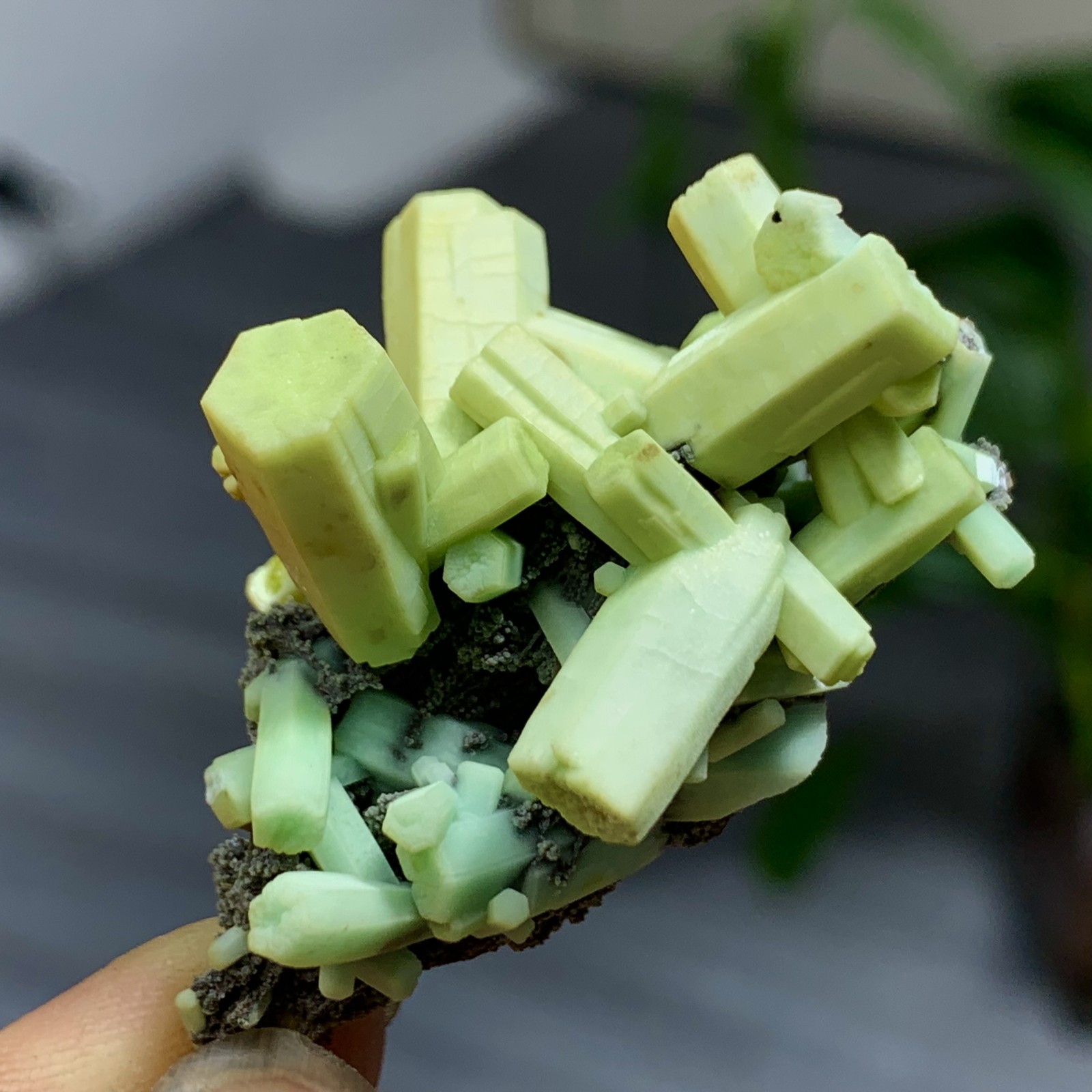 27G Natural water phosphorus aluminum lead ore crystal china guangxi