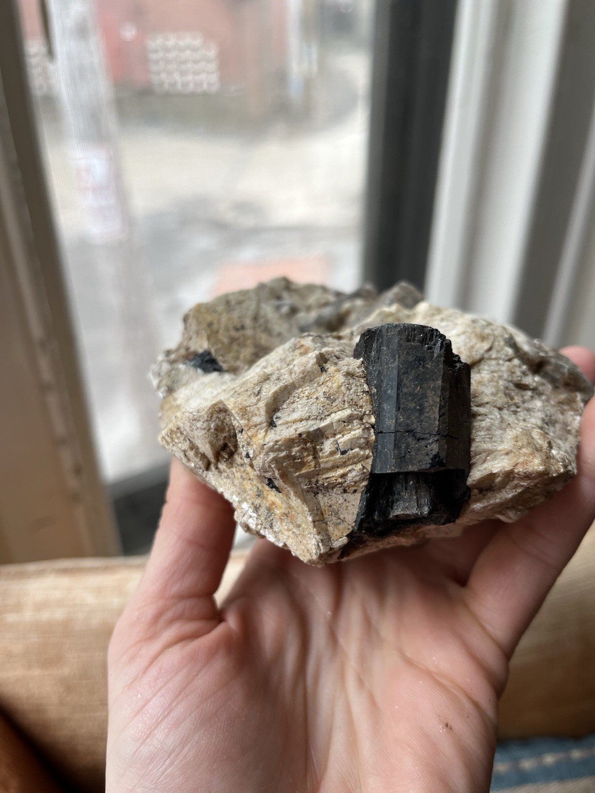 Huge Black Tourmaline Schorl Crystal In Matrix Maine Locality 6” Feldspar Quartz Huge Black Tourmaline Schorl Crystal In Matrix Maine Locality 6” Feldspar Quartz